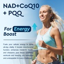 liposomal-nad-liquid-supplement-nad-resv-4.jpg