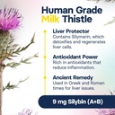 liver-health-supplement-for-small-dogs---4.jpg