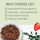 evergreen-herbs-flor-de-tila-chiranthode-5.jpg