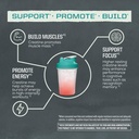 creatine-monohydrate-powder-micronized-p-4.jpg