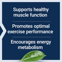 life-extension-creatine-capsules-creatin-4.jpg