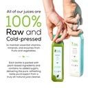 1-day-juice-cleanse-by-raw-fountain-all--4.jpg