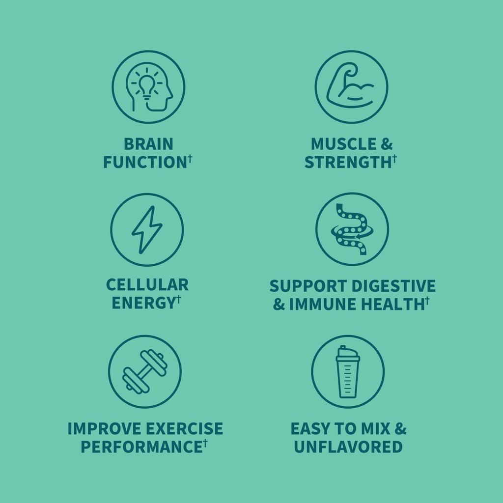 garden-of-life-creatine-monohydrate-powd-4.jpg