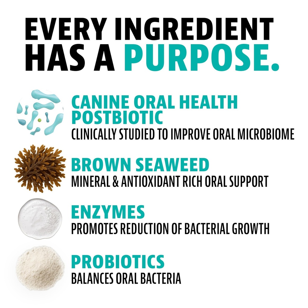 dinovite-dog-dental-powder-brush-free-br-4.jpg