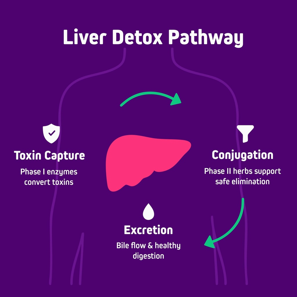 herbtonics-liver-cleanse-detox-repair-su-4.jpg