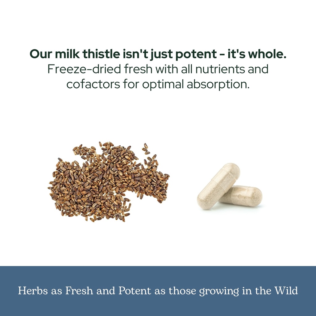 eclectic-herb-premium-freeze-dried-milk--6.jpg