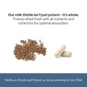 eclectic-herb-premium-freeze-dried-milk--6.jpg