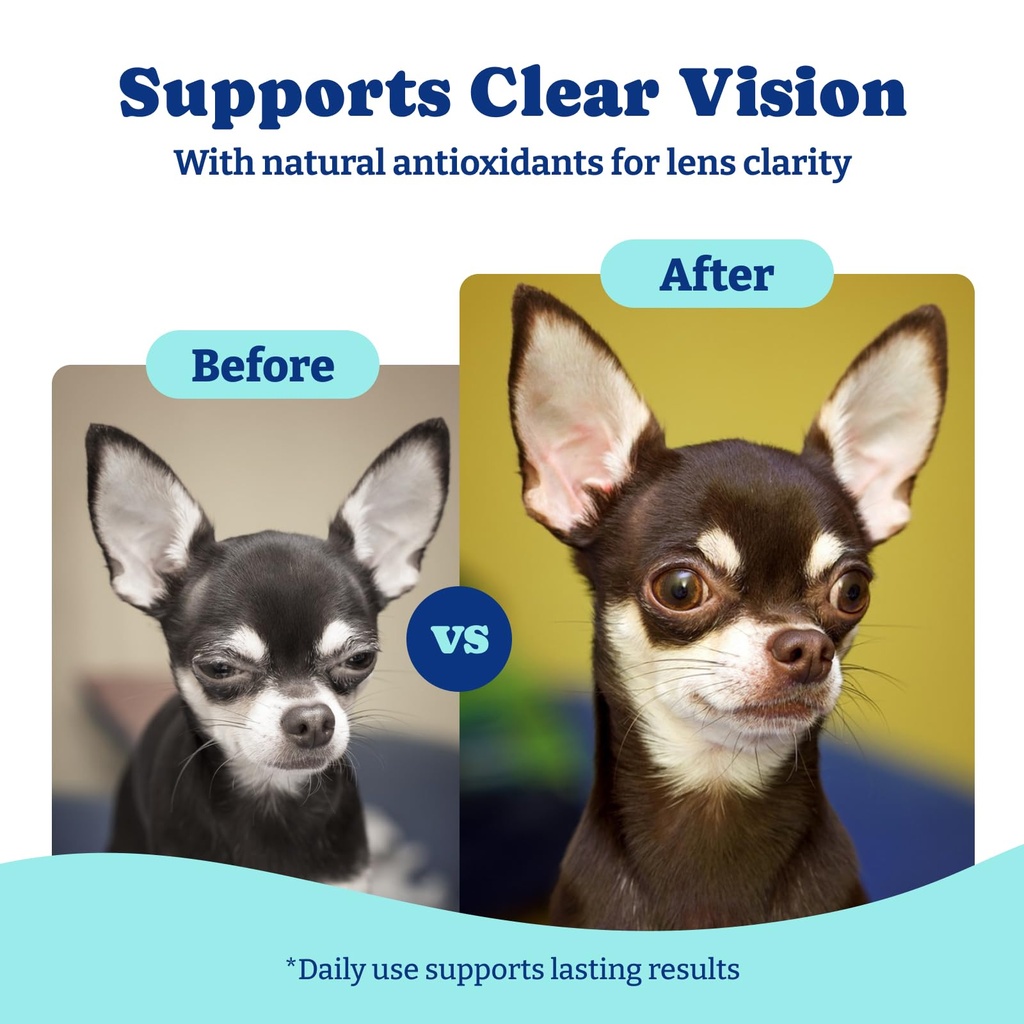 dog-eye-and-liver-wellness-bundle-vision-3.jpg