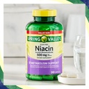 spring-valley-vitamin-b3-niacin-500mg-fl-4.jpg