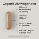 sports-research-organic-ashwagandha-adap-2.jpg