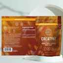 primal-harvest-creatine-powder-supplemen-5.jpg
