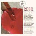 wooden-spoon-herbs-rose-colored-glasses--5.jpg