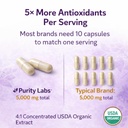 purity-labs-trans-resveratrol-supplement-3.jpg