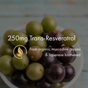 naomi-organic-resveratrol-250mg-querceti-3.jpg
