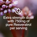 resveratrol-supplement-trans-resveratrol-5.jpg