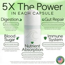 prebiotic-fiber-supplement-5-in-1-capsul-2.jpg