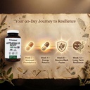 pristine-s-astragalus-root-supplement-ca-4.jpg