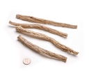 dragon-herbs-codonopsis-and-astragalus-b-4.jpg