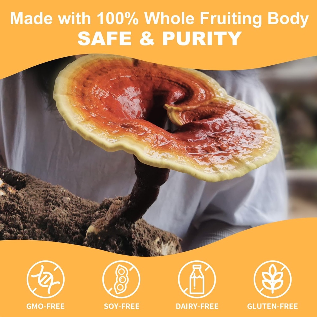 reishi-mushroom-capsules-organic-advance-5.jpg