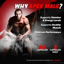 apex-male-capsules-official-apexmale-pil-4.jpg