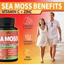 organic-cadane-irish-sea-moss-extract-ca-4.jpg