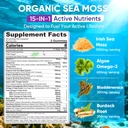 2-pack-sea-moss-gummies-for-men-women-ve-2.jpg