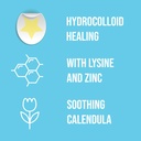 acculip-cold-sore-patch-lysine-cold-sore-3.jpg