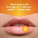 campho-phenique-cold-sore-and-fever-blis-5.jpg