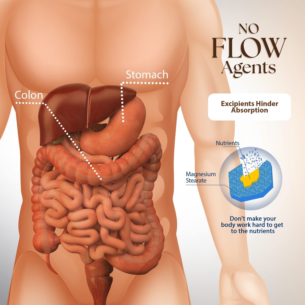 dr-clark-3-week-kidney-cleanse-vegetaria-6.jpg