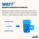 waterboy-weekend-recovery-3-187mg-electr-6.jpg