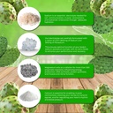 santa-cruz-paleo-electrolyte-powder-pric-3.jpg