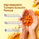 biorootlabs-turmeric-curcumin-supplement-3.jpg