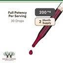 organic-elderberry-liquid-2-fl-oz-60-ser-6.jpg