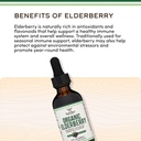 organic-elderberry-liquid-2-fl-oz-60-ser-4.jpg