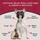 animal-essentials-seasonal-allergy-powde-2.jpg