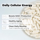 nmn-supplement-500mg-per-serving-nicotin-2.jpg