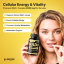 nmn-supplement-2000mg-nad-complex-with-n-5.jpg