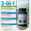 nmn-synergy-700mg-premium-nmn-supplement-3.jpg
