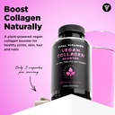 vital-vitamins-vegan-collagen-booster-wi-2.jpg