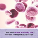 garden-of-life-vitamin-code-raw-prenatal-6.jpg