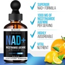 vita-guard-pure-nad-supplements-1000mg-l-6.jpg