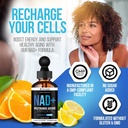 vita-guard-pure-nad-supplements-1000mg-l-5.jpg