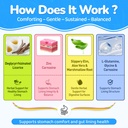 dgl-zinc-carnosine-gummies-supports-occa-5.jpg
