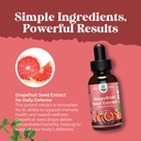 gse-grapefruit-seed-extract-liquid-one-d-6.jpg
