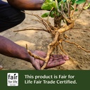 banyan-botanicals-organic-ashwagandha-10-6.jpg