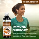 nootropic-mushrooms-lions-mane-lion-s-ma-5.jpg