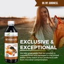 nootropic-mushrooms-lions-mane-lion-s-ma-6.jpg