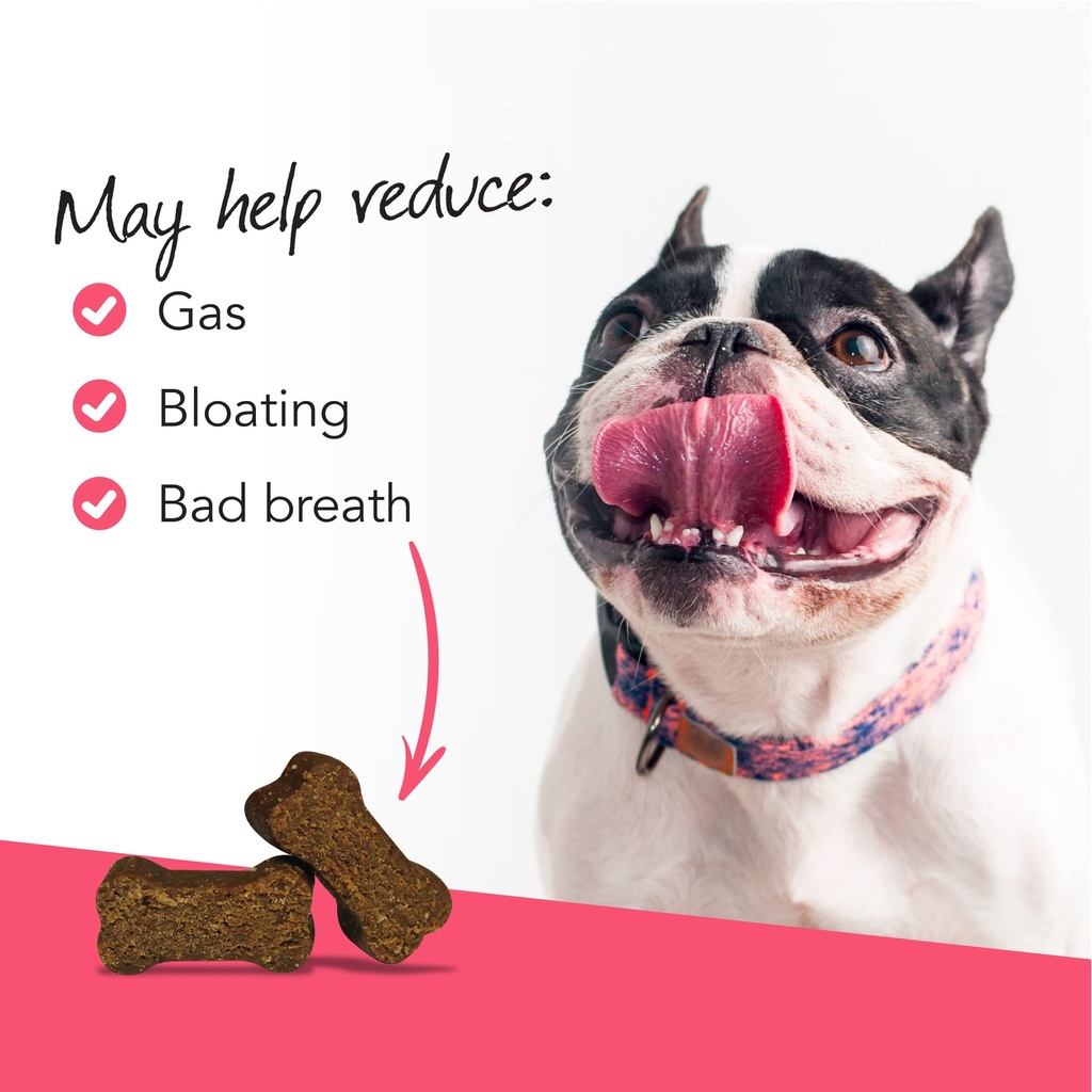 vetriscience-gut-health-chews-probiotic--3.jpg