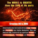 creatine-hcl-capsules-with-hmb-workout-s-4.jpg
