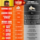 creatine-hcl-capsules-with-hmb-workout-s-3.jpg